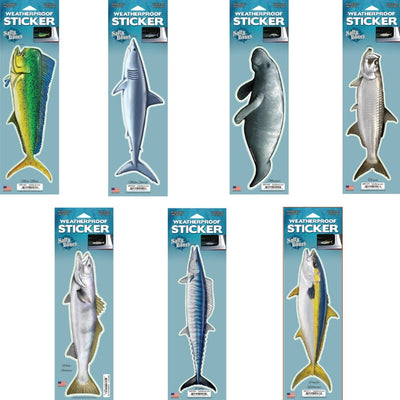  SPEARFISHING WORLD Transparent Fish Ruler Speargun Sticker/ Decal for Speargun or Fishing Rod - Measure Your Fish Before Getting it on  The Boat (Single) : Sports & Outdoors