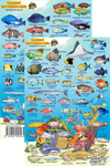 Franko's Laminated MINI Reef Creature Fish ID Cards