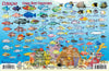 Franko Fish ID Card of Curacao Reef Creatures 9 x 6 Laminated