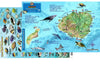 Franko Hawaii Fish ID Card with Dive Map