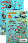 Franko's Laminated MINI Reef Creature Fish ID Cards