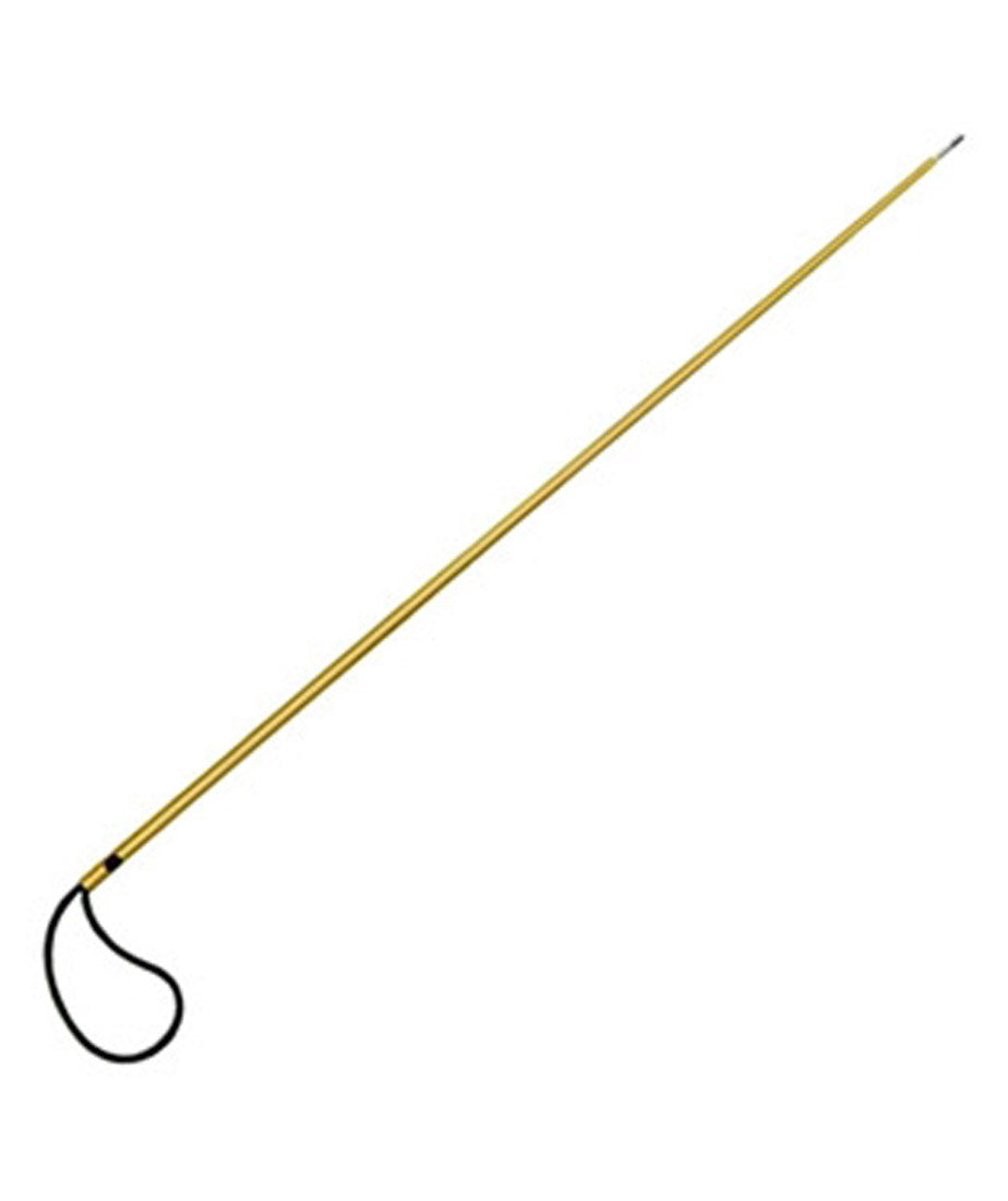 6 Best Pole Spears for Fishing of 2024 
